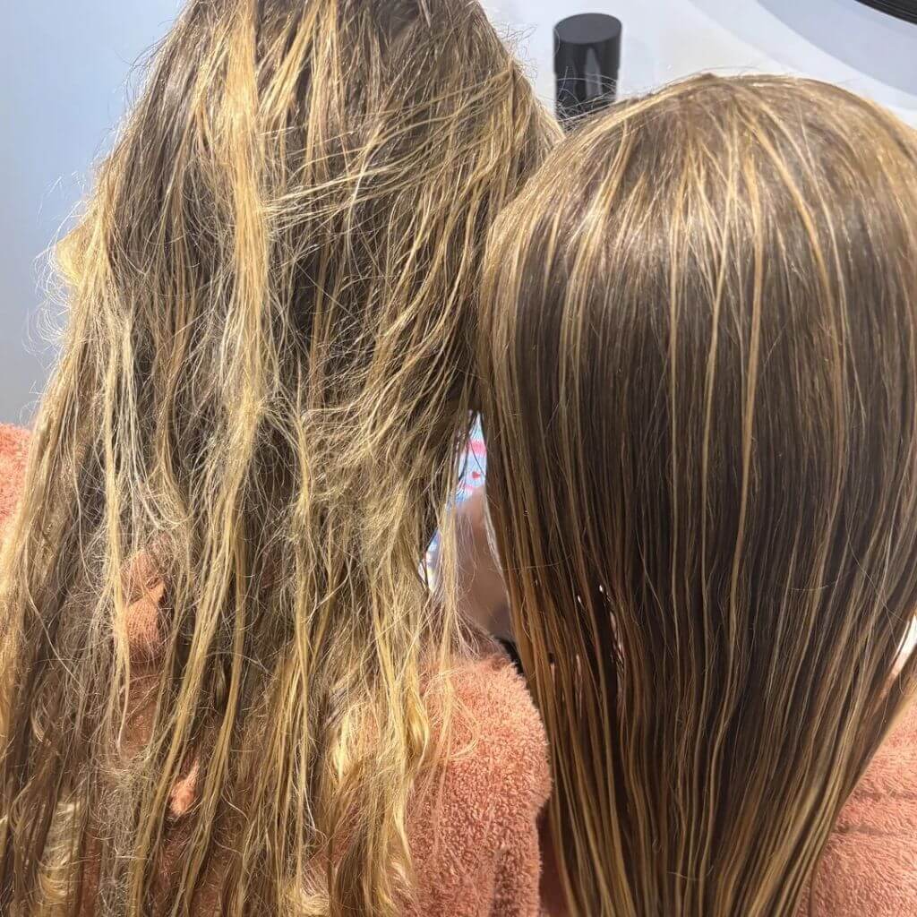 Premium Scalp Massager Bush