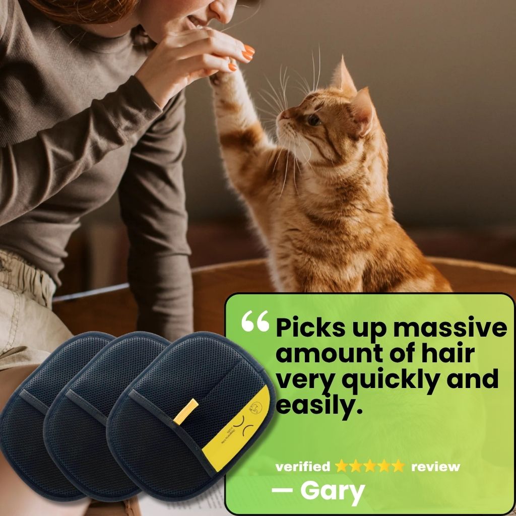 🐾 FurFree™ 3-Pack Cleaning Gloves